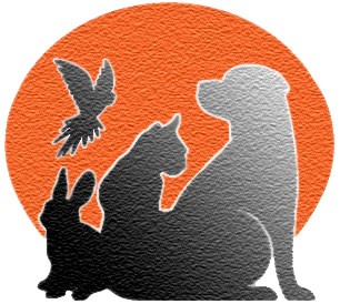 P�evoz uhynul�ch zv��at do zv��ec�ho krematoria