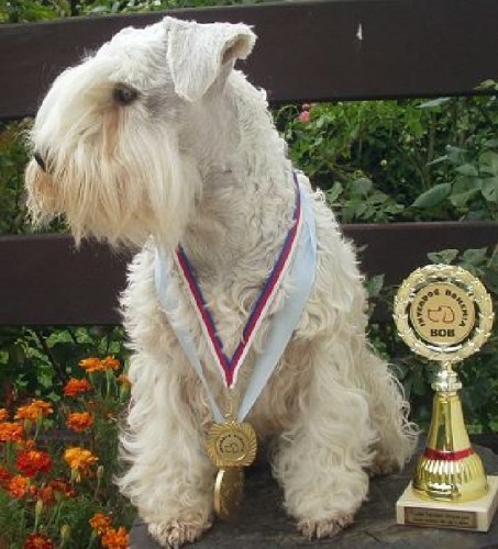 Kn�ra� mal� b�ly s pp