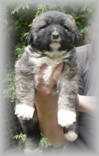 NAB�DKA �T��AT