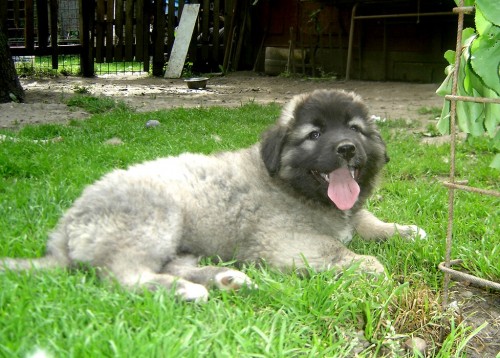 NAB�DKA �T��AT