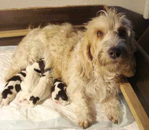 Z�znam na �t��ata 