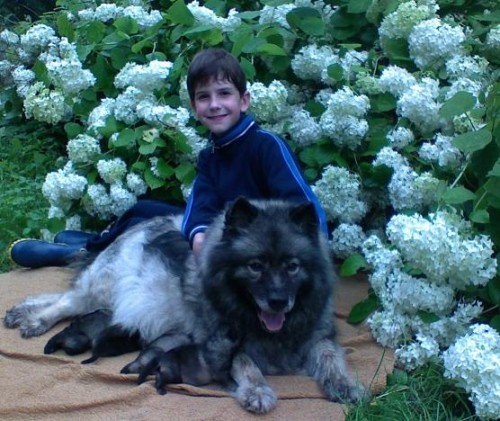 Vl�� �pic - zad�m �t��ata s PP