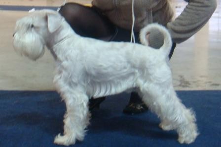 Mal� B�L� kn�ra�