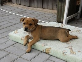 Posledn� �t���tko