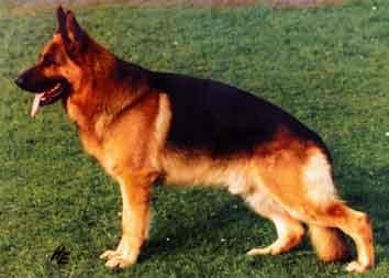 N�MECK� OV��K