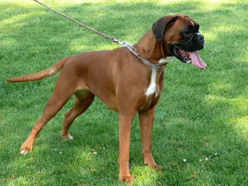 �t���tka s PP