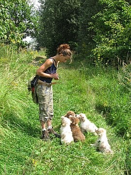 AUSTRALSK� OV��K - �T���TKA S PP