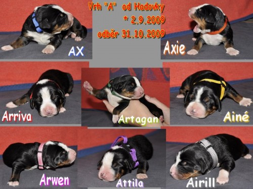 N�dhern� �t���tka po �sp�n�ch rodi��ch