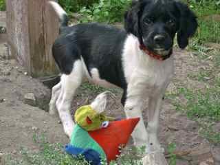 �t��ata BRETA�SK� OHA�