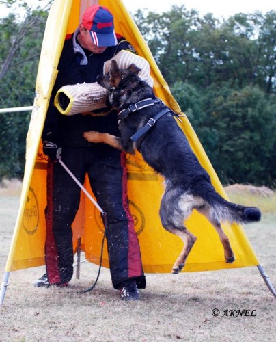 N�meck� ov��k-zahrani�n� kryt�