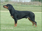 Slovensk� kopov-�t��ata