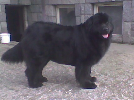 Prod�m �t��ata s PP