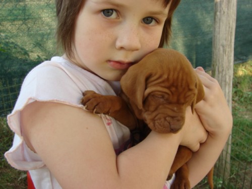 Ma�arsk� oha� kr�tkosrst�