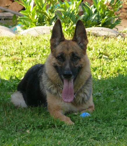 nab�z�m st���tka NO s PP