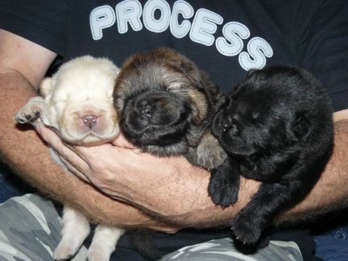 �t���tka s PP