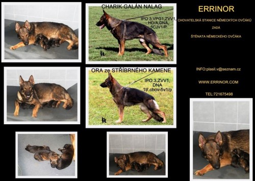 PROD�M �T��ATA