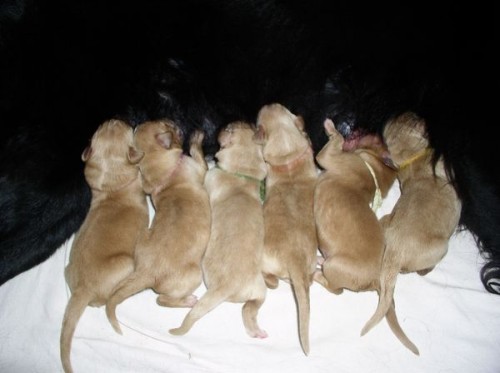 �t��ata k odb�ru v 1. p�lce ledna