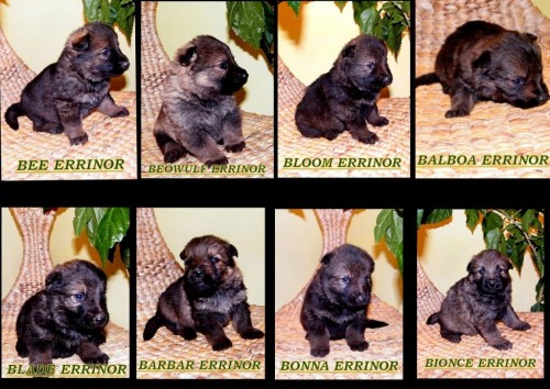 PROD�M �T��ATA NO