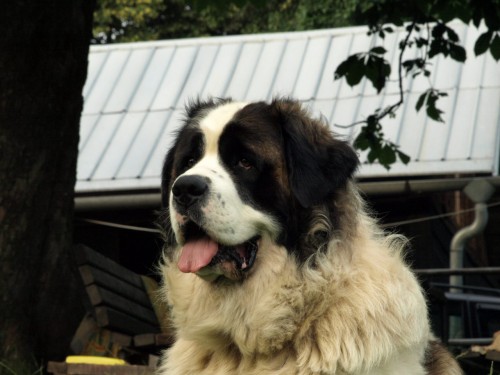 �t���tka s PP