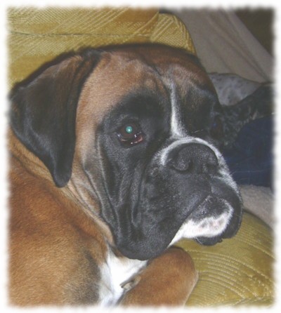 Zad�m �t��ata