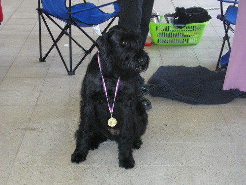 kn�ra� velk� �ern�