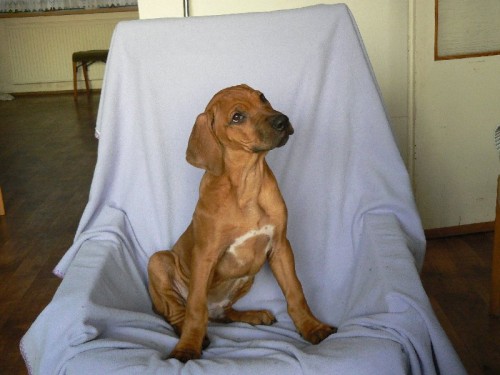 �t���tka ihned k odb�ru