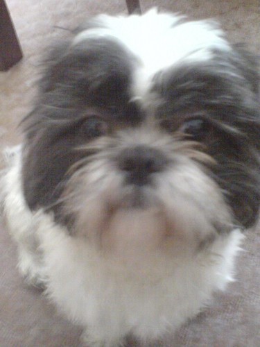 SCH�N�M P�KNOU �I-TKU !!!!!!!