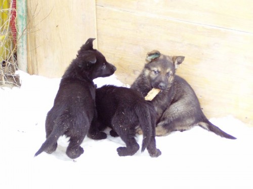 �t��ata NO s PP