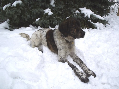 Prod�m �HP+oha�