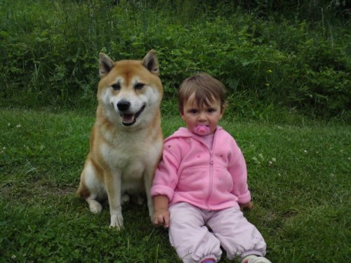 Hled�me pejska.pomozte pros�m