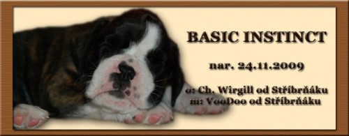 N�meck� boxer - ��han� pejsek s PP, ihned k odb�ru