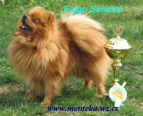 n�meck� �pic mal� 