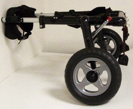 invalidn� voz�k pro psy