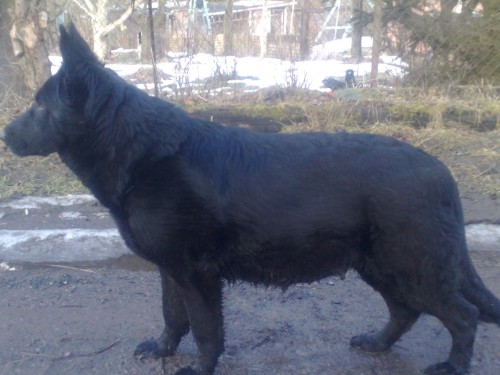 �T�N�TKA Z V�B�ROV�HO CHOVU