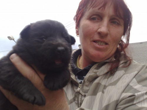 n�meck� ov��k-pracovn� �t�n�tka