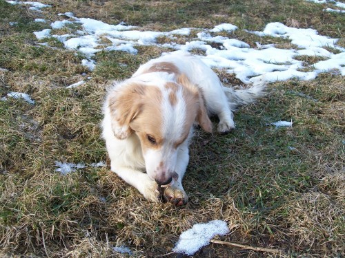 T�i mu�ket��i