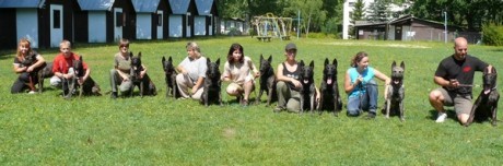 Sraz Holandsk�ch ov��k�