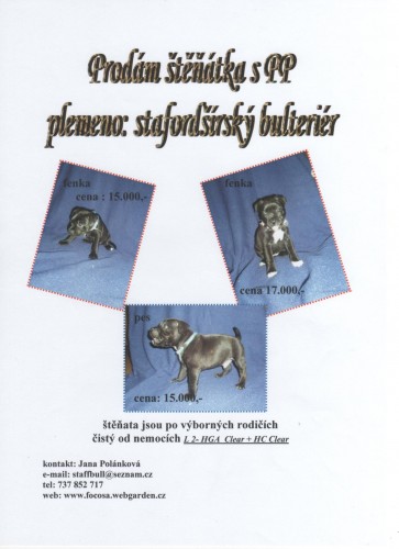 prod�m �t��ata SBT s PP