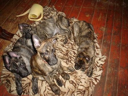 Ov��ci k v�cviku !