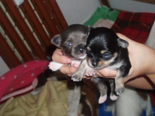 �ivava-prod�m �t�n�