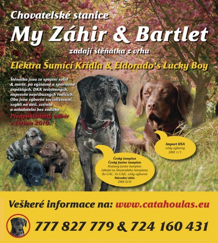 Louisiansk� leopard� pes - �t���tka