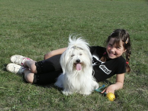 Intenzivn� kurz z�kladn� poslu�nosti ps�