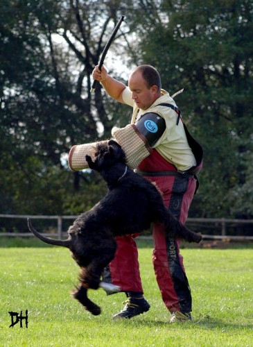 Sportovn� pracovn� spojen�