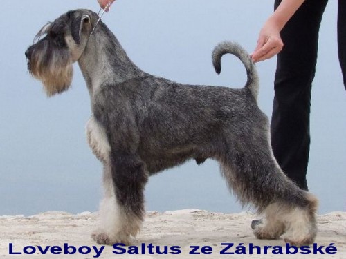 Kn�ra� st�edn� P/S