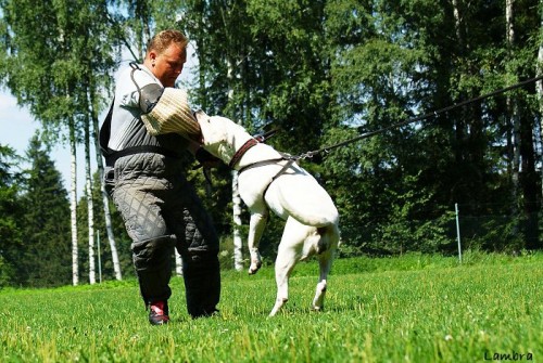 V�cvikov� t�bor Zlat� Hory - 8.8.-15.8.2010