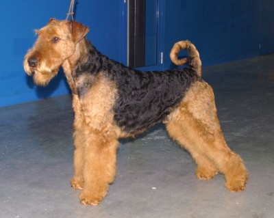 Zad�m �t��ata s PP