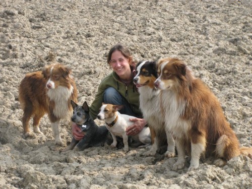 Sh�n�me pozemek pro v�cvik ps�!