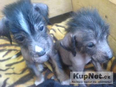 Peru�nsk� nah��