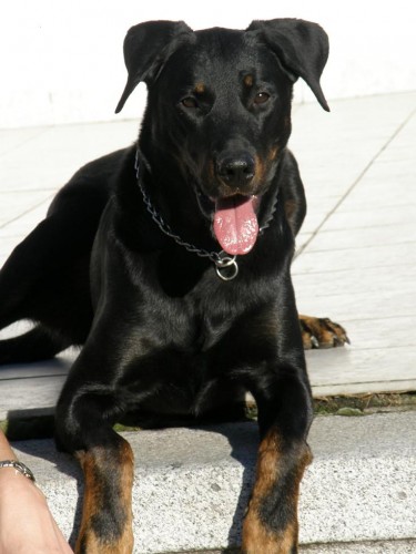 Zad�m �t��ata