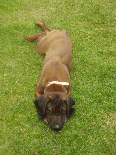 Prod�m �t���tka